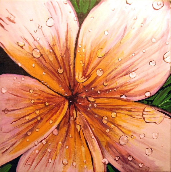 Frangipani 2