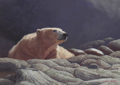 Into the Tundra