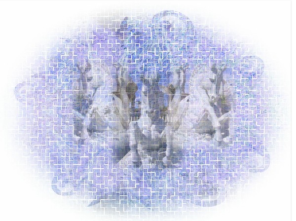 Neptunes Rhapsody