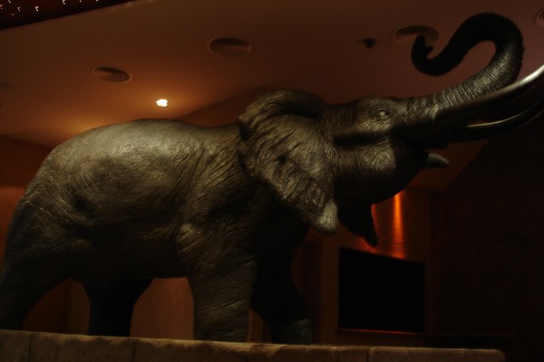 Elefante
