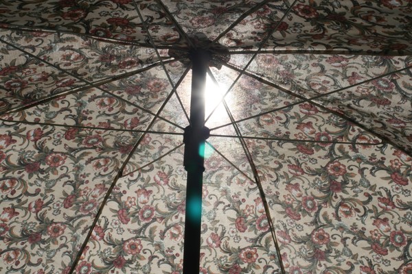 Summer Umbrella