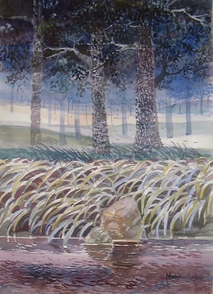 The grass and the river