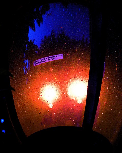 Lighting The Path To Enchantment