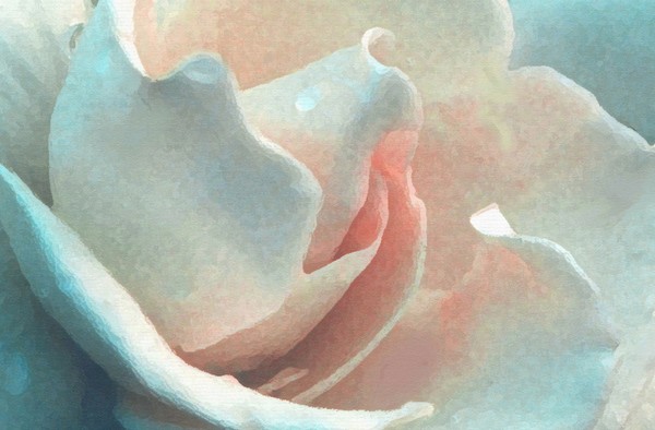 Gardenia