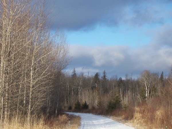 Snowtrail