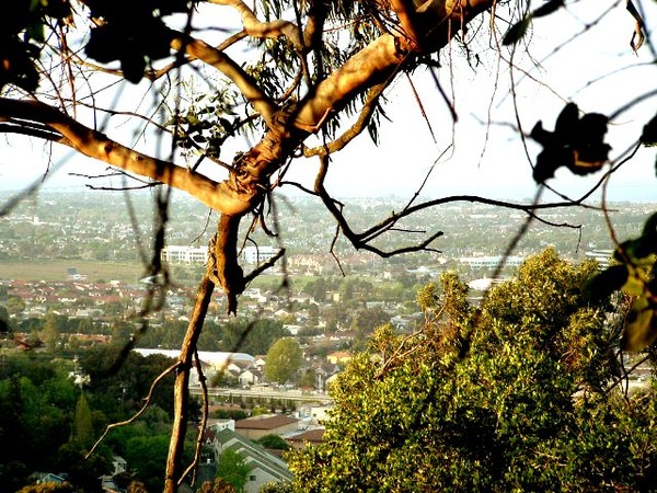High View