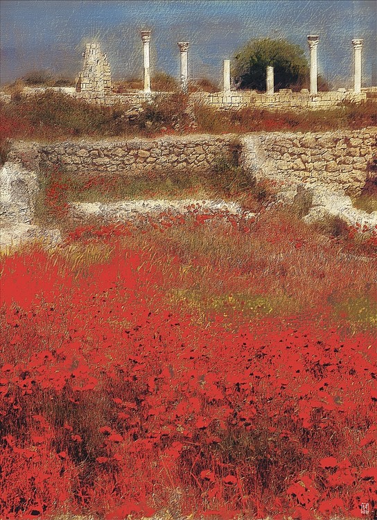 Khersones Poppies.