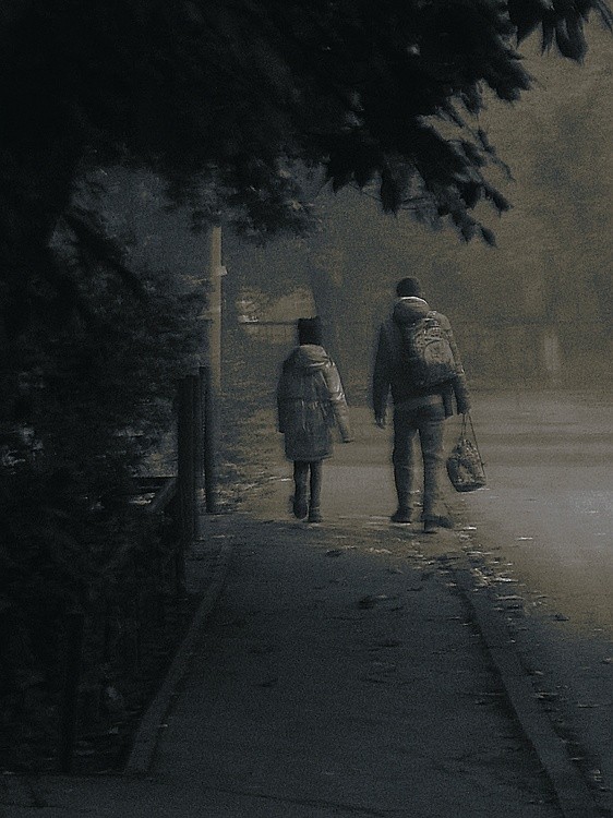 foggy morn, schoolbound