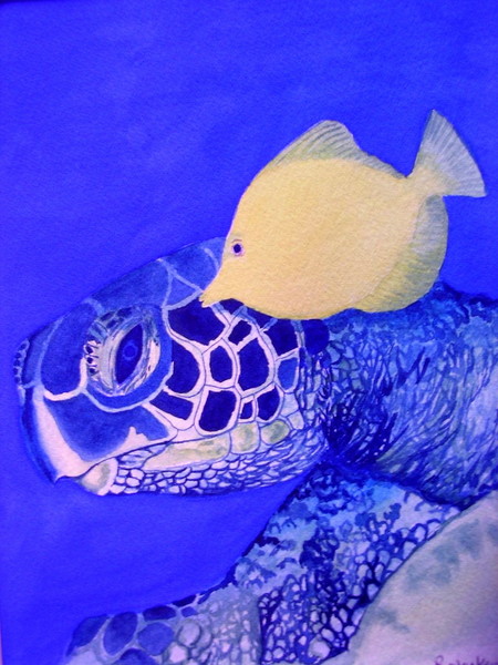 Turtle and Friend