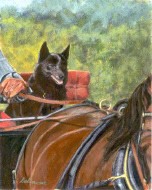 along for the ride
