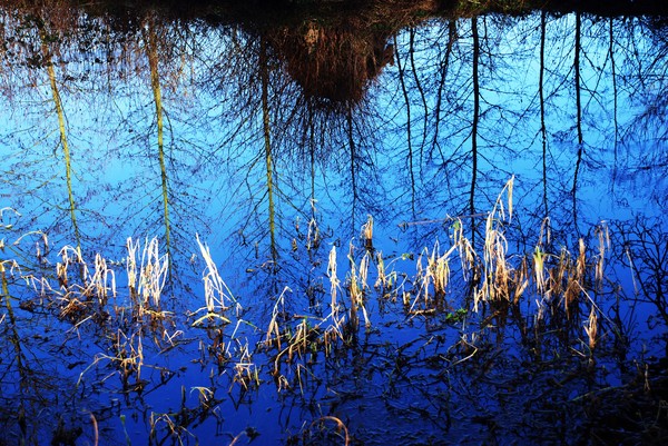 Blue Mood