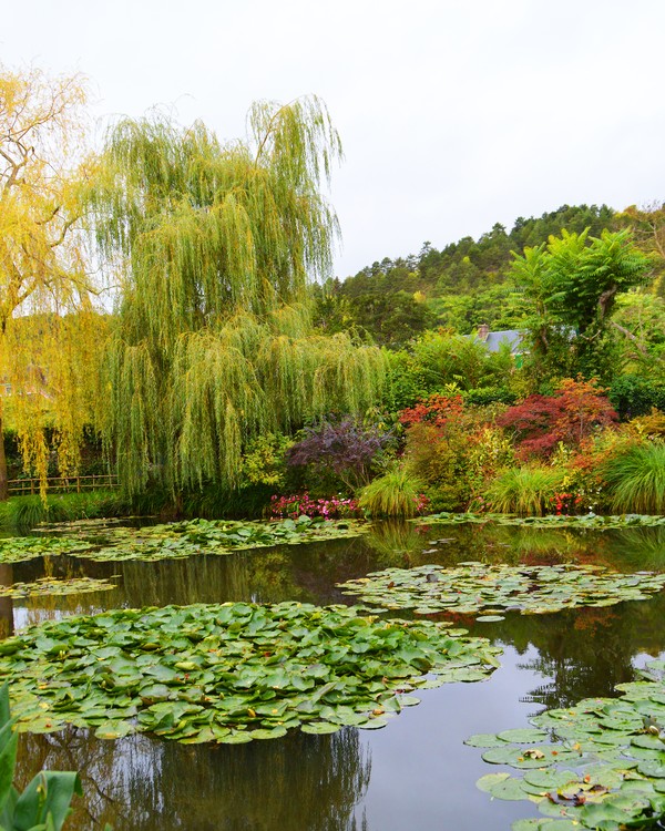 Claude Monet's water lily pond