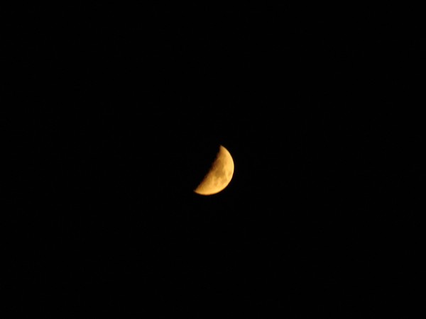 DSC00028