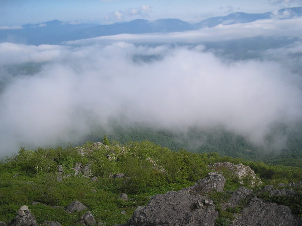 Above the clouds