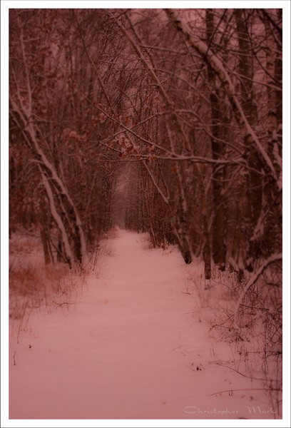 Snow trail