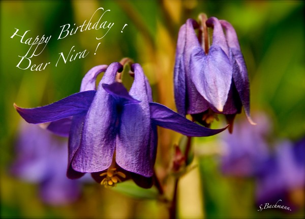 Happy Birthday dear Nira !