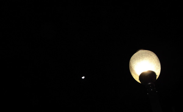 Luminaries of the Night