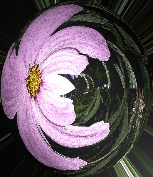 Cosmosis