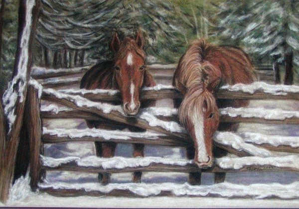 Jack's Horses