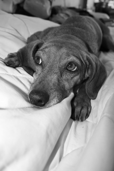 looking guilty