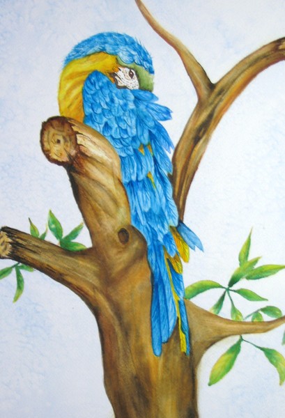 Blue Parrot
