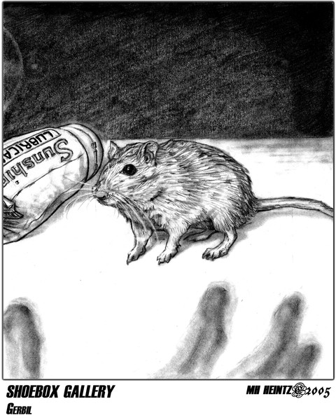 SHOEBOX GALLERY: GERBIL