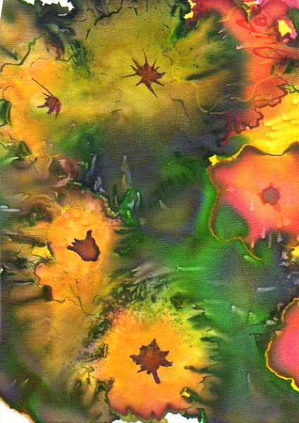 Floral 'fireworks'.