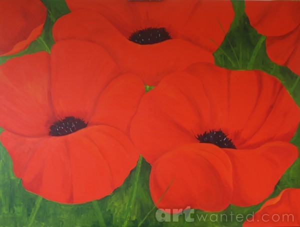 Poppies