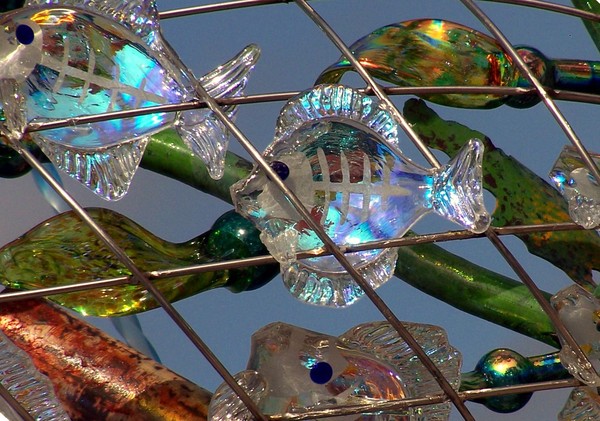 Glass Fish