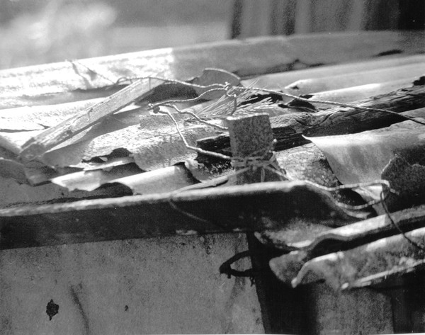 shed roof