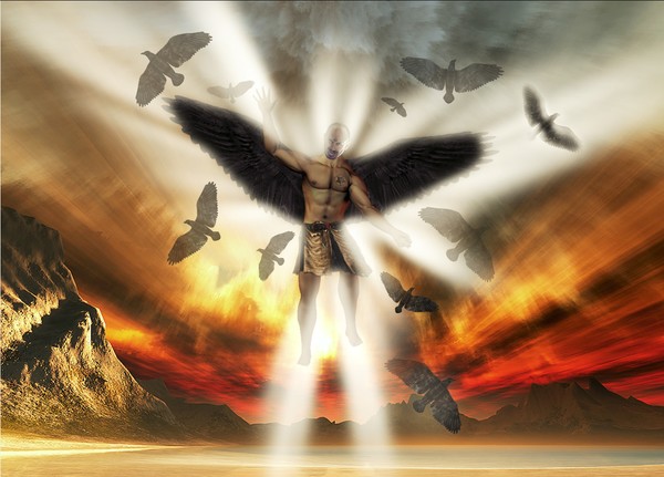 The Arrival
