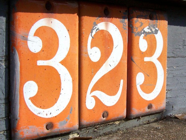 3.2.3. Photo.