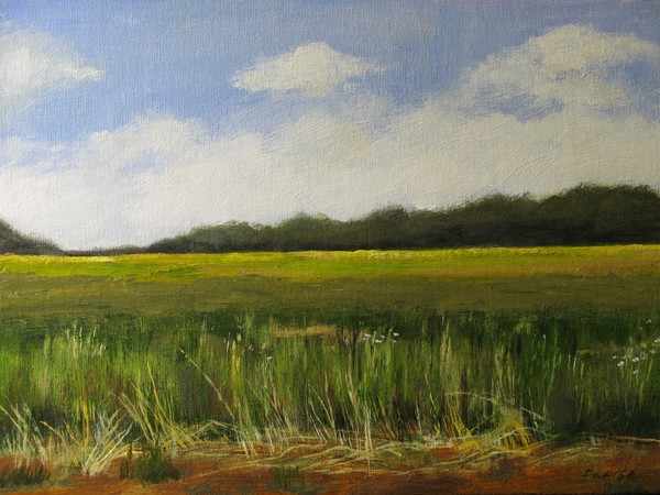 Tall Prairie Grass II
