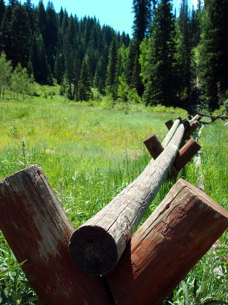 Don't Fence Me In