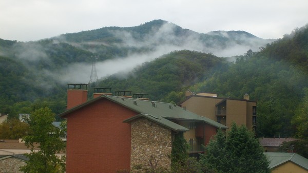 mountain mist