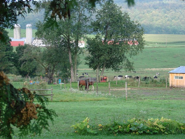 Peaceful Valley