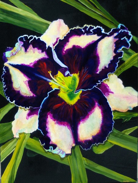 caesar augustus daylily - sold