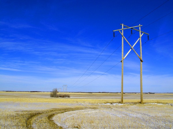 Power Lines-6685