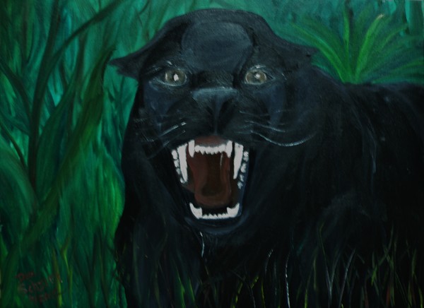 Young Hungery Black Panther