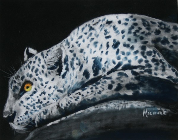 Eyes in the Dark