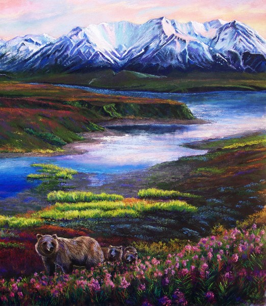 Denali - Bear close up