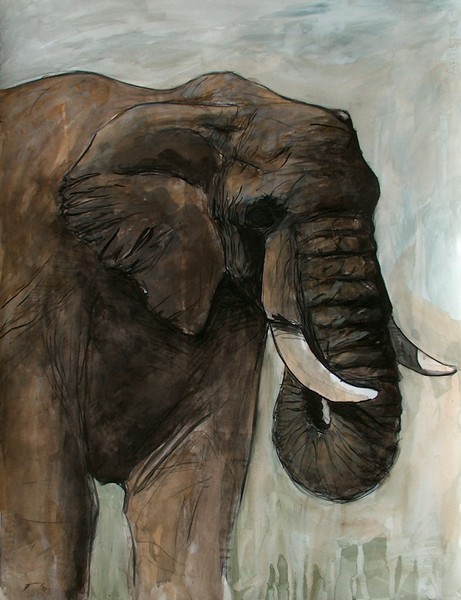 Elefante