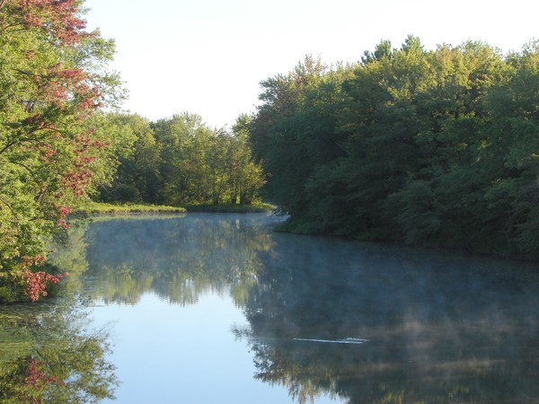 Morning Mist
