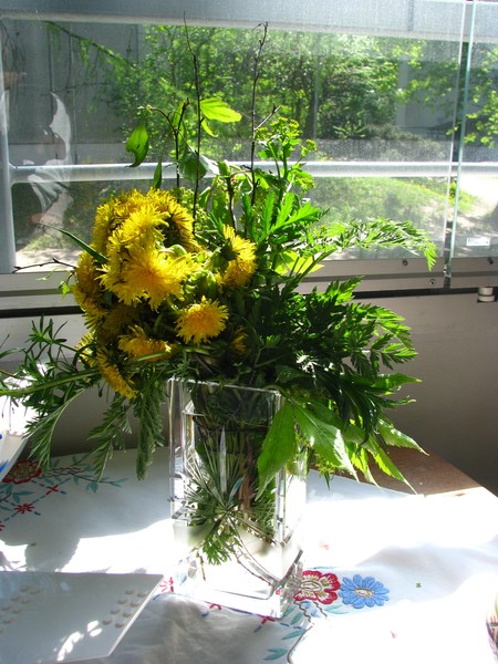 springto-autumglory2008-