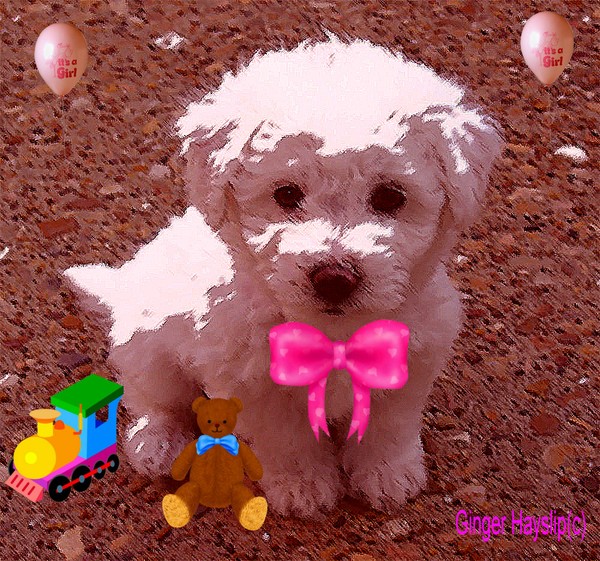 PUPPY LOVE