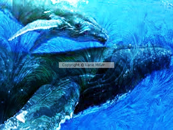 whale 2