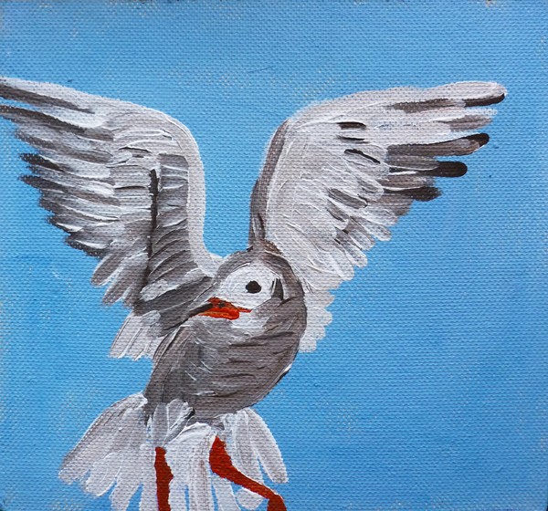 gull