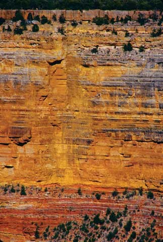 Grand Canyon - Cliff Wall