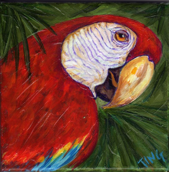 Macaw Print from original painting