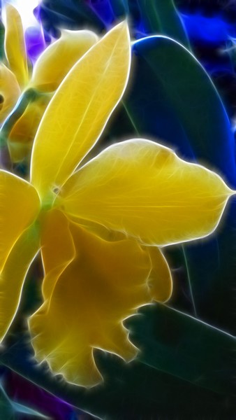 Fractalius floral